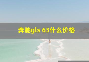 奔驰gls 63什么价格